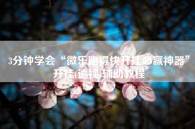 3分钟学会“微乐跑得快开挂必赢神器”开挂(透视)辅助教程