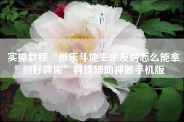 实操教程“微乐斗地主亲友房怎么能拿到好牌呢”科技辅助神器手机版