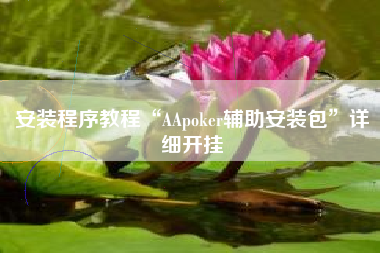 安装程序教程“AApoker辅助安装包	”详细开挂