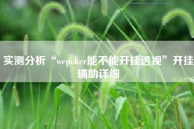 实测分析“wepoker能不能开挂透视”开挂辅助详细