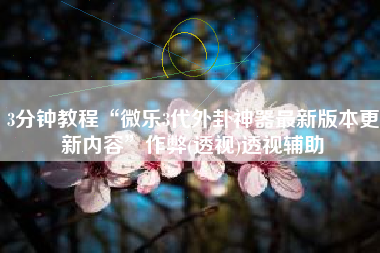 3分钟教程“微乐3代外卦神器最新版本更新内容	”作弊(透视)透视辅助