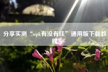 分享实测“wpk有没有挂”通用版下载教程