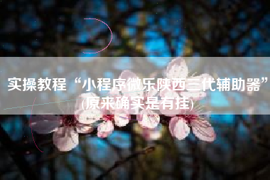 实操教程“小程序微乐陕西三代辅助器	”(原来确实是有挂)