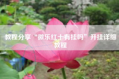 教程分享“微乐红十有挂吗”开挂详细教程