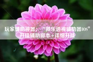 玩家辅助神器：“微乐透视辅助器IOS”开挂辅助脚本+详细开挂