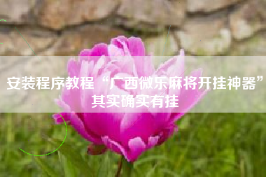 安装程序教程“广西微乐麻将开挂神器”其实确实有挂