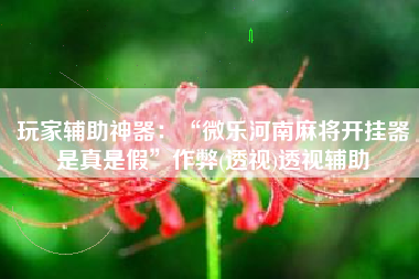 玩家辅助神器：“微乐河南麻将开挂器是真是假	”作弊(透视)透视辅助