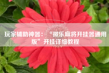 玩家辅助神器：“微乐麻将开挂器通用版”开挂详细教程