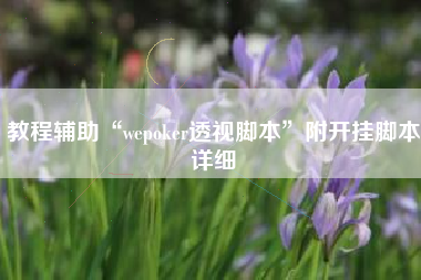 教程辅助“wepoker透视脚本”附开挂脚本详细