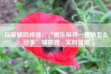 玩家辅助神器：“微乐麻将一直输怎么回事”辅助器 - 实时智能