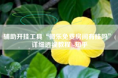 辅助开挂工具“微乐免费房间有挂吗	”(详细透视教程)-知乎