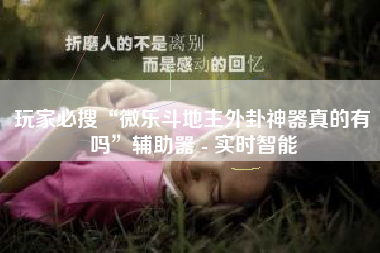 玩家必搜“微乐斗地主外卦神器真的有吗”辅助器 - 实时智能