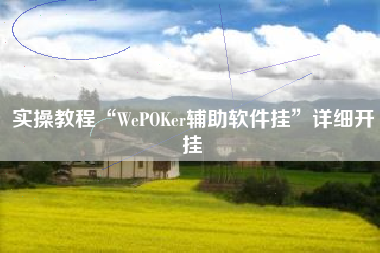 实操教程“WePOKer辅助软件挂”详细开挂
