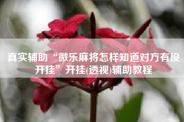 真实辅助“微乐麻将怎样知道对方有没开挂”开挂(透视)辅助教程