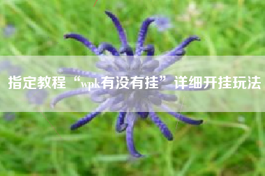 指定教程“wpk有没有挂	”详细开挂玩法