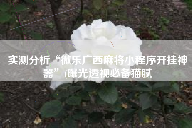 实测分析“微乐广西麻将小程序开挂神器”(曝光透视必备猫腻