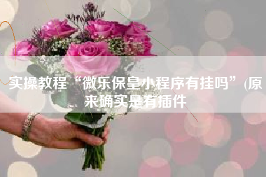 实操教程“微乐保皇小程序有挂吗”(原来确实是有插件