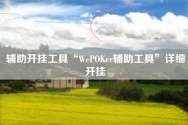 辅助开挂工具“WePOKer辅助工具”详细开挂