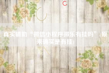 真实辅助“微信小程序微乐有挂吗”(原来确实是有挂)