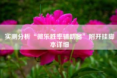 实测分析“微乐胜率辅助器	”附开挂脚本详细