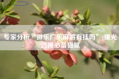 专家分析“微乐广东麻将有挂吗	”(曝光透视必备猫腻