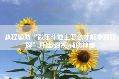 教程辅助“微乐斗地主怎么才能拿到好牌”开挂(透视)辅助神器