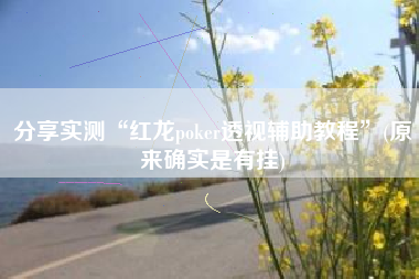 分享实测“红龙poker透视辅助教程”(原来确实是有挂)