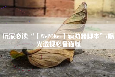 玩家必读“【WePOKer】辅助器脚本”(曝光透视必备猫腻