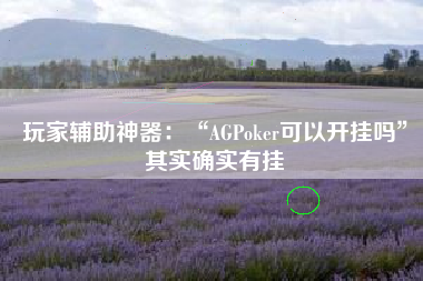 玩家辅助神器：“AGPoker可以开挂吗”其实确实有挂