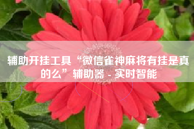 辅助开挂工具“微信雀神麻将有挂是真的么	”辅助器 - 实时智能