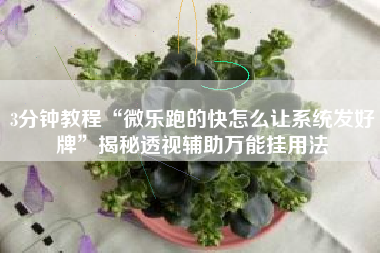 3分钟教程“微乐跑的快怎么让系统发好牌”揭秘透视辅助万能挂用法