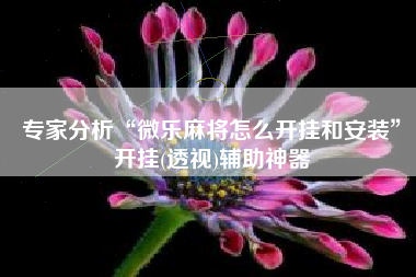 专家分析“微乐麻将怎么开挂和安装”开挂(透视)辅助神器