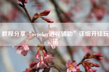 教程分享“wepoker透视辅助”详细开挂玩法