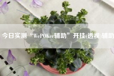 今日实测“WePOKer辅助”开挂(透视)辅助