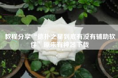 教程分享“德扑之星到底有没有辅助软件”原来有神器下载