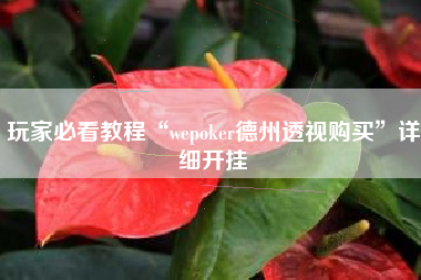 玩家必看教程“wepoker德州透视购买”详细开挂