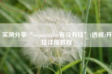 实测分享“wepokerplus有没有挂”(透视)开挂详细教程