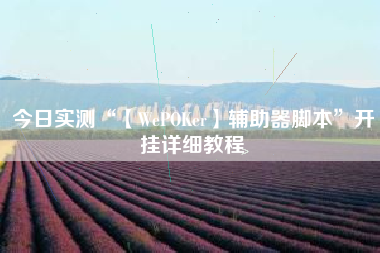 今日实测“【WePOKer】辅助器脚本”开挂详细教程