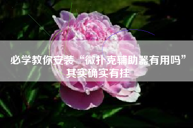 必学教你安装“微扑克辅助器有用吗	”其实确实有挂