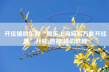 开挂辅助工具“微乐上海麻将万能开挂器	”开挂(透视)辅助教程