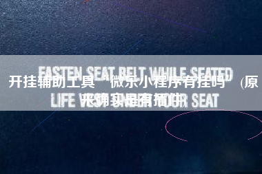 开挂辅助工具“微乐小程序有挂吗”(原来确实是有插件)