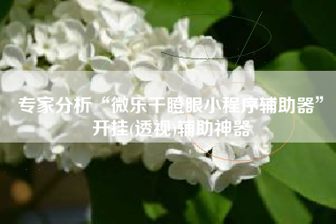 专家分析“微乐干瞪眼小程序辅助器	”开挂(透视)辅助神器