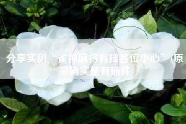 分享实测“雀神麻将有挂各位小心”(原来确实是有插件