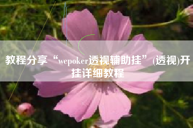 教程分享“wepoker透视辅助挂”(透视)开挂详细教程