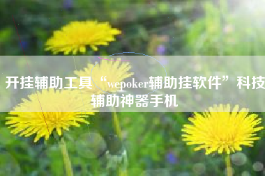 开挂辅助工具“wepoker辅助挂软件”科技辅助神器手机
