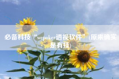 必备科技“wepoker透视软件	”(原来确实是有挂)