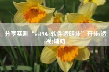 分享实测“wePOke软件透明挂	”开挂(透视)辅助