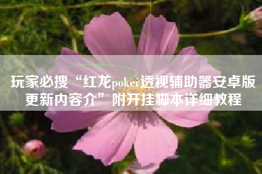 玩家必搜“红龙poker透视辅助器安卓版更新内容介”附开挂脚本详细教程