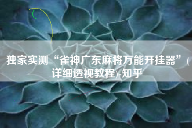 独家实测“雀神广东麻将万能开挂器”(详细透视教程)-知乎