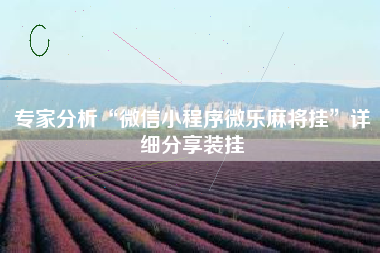 专家分析“微信小程序微乐麻将挂”详细分享装挂